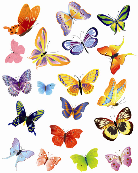 free vector A variety of beautiful butterflies vector
